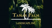Tamar Palm & Tree Installation
