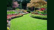 Curtis Landscaping & Tree Service