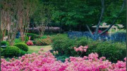 Rich Way Landscape