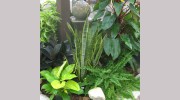 Knollwood Garden Center