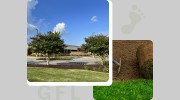 Green Foot Landscaping