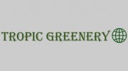 Tropic Greenery