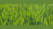 Greatscapes Property Management