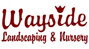Wayside Nursery