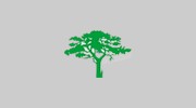 McCollum Landscaping