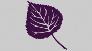 Jane E Dilworth Landscaping
