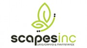 Scapes