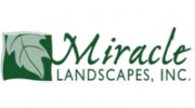 Miracle Landscapes