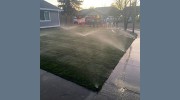 5 Star Gardening