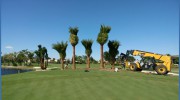 West Florida Landscape & Tree