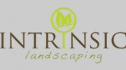 Intrinsic Landscaping