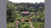Catskill Native Nursery