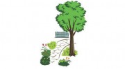 Osborn Landscaping