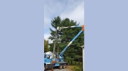 Furlong's Home & Yard Care