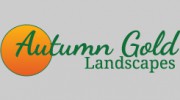 Autumn Gold Landscape