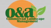 O & A Service