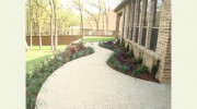 Rubios Trees & Landscaping