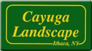 Cayuga Landscape