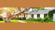Plano Landscaping