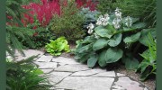 Deyoung Landscape Service