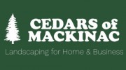 Cedars Of Mackinac