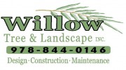Willow Tree & Landscape