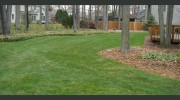 Green Cut Lawns