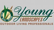 Young Landscapes