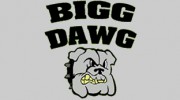 Bigg Dawg Landscaping & Services