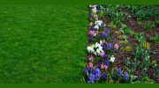 Spring Garden Landscaping Service