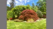 Canber Landscaping
