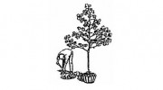 Irish Landscape Designs