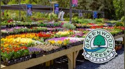 Greenwood Creek Landscaping