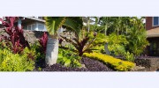 Lush Landscaping