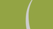 A Blade Of Grass