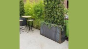 Guardado Landscaping