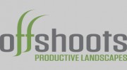 Offshoots, Inc