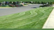 A & M Landscaping & Gardening