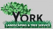 York Landscaping & Tree Service
