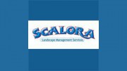 Scalora Landscaping Services