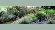 Gardens By Ruth