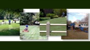 Associated Lawn & Landscaping Service