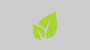 Lake Erie Shores Contracting