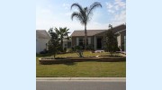 Showtime Landscaping
