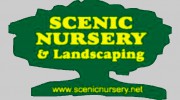 Scenic Nursery