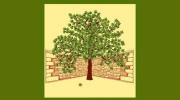 New Vista Enterprises