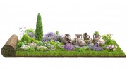 R Heritage Landscaping & Maintenance