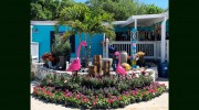 Emerald Island Garden Center