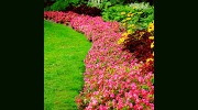 Aesthetic Landscapes