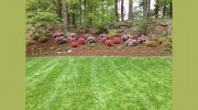 Organic Gardening & Landscaping